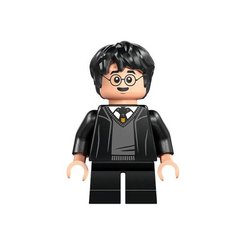 Minifigurines Harry Potter HP607 - 