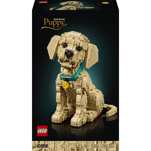 Le chiot Golden Retriever - LEGO Icons