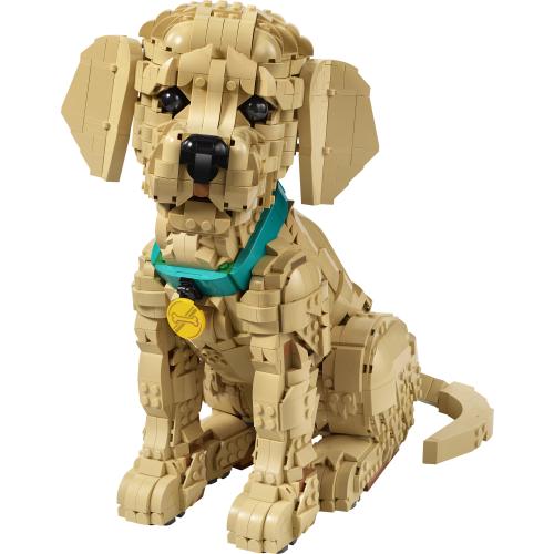 Le chiot Golden Retriever - LEGO Icons
