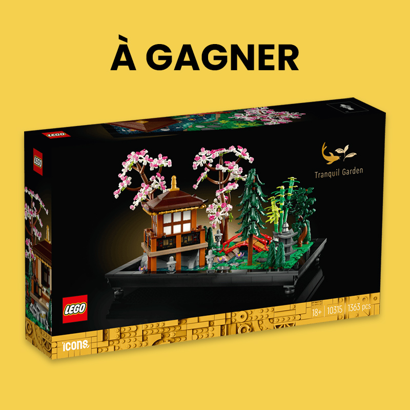 Concours - Brick Occasion