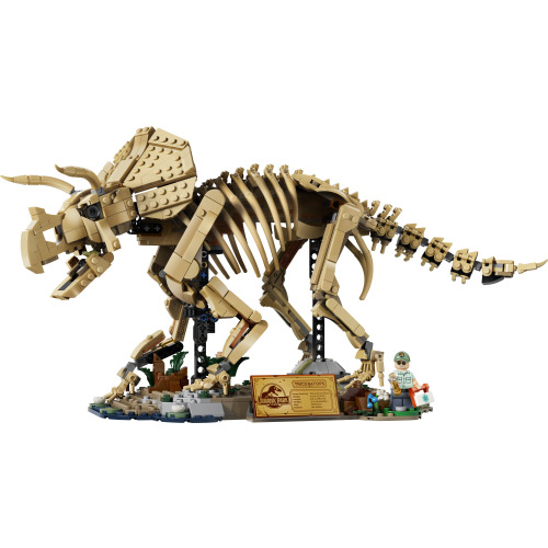 Les fossiles de dinosaure : le tricératops - LEGO Jurassic World