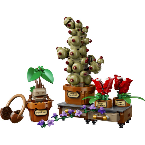 Les plantes du cours de botanique de Poudlard - LEGO Harry Potter