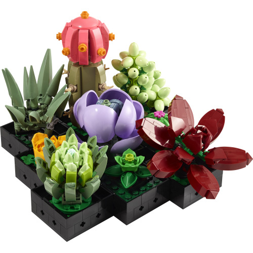 Les succulentes - LEGO Botanical