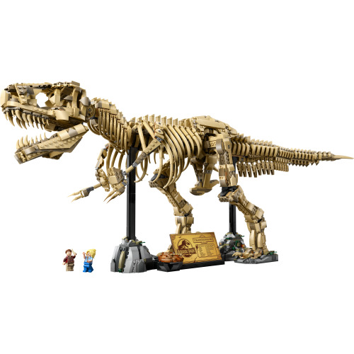 Les fossiles de dinosaures : le Tyrannosaurus rex - LEGO Jurassic World