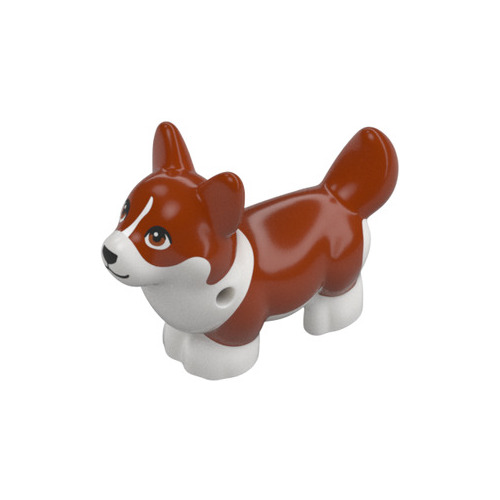 Chien Corgi roux - 