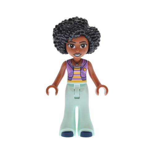 Minifigurines Friends Frnd816 - 