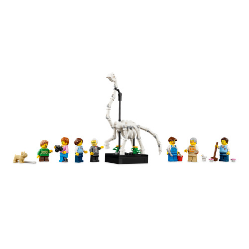 Le Muséum d’Histoire naturelle - LEGO Icons