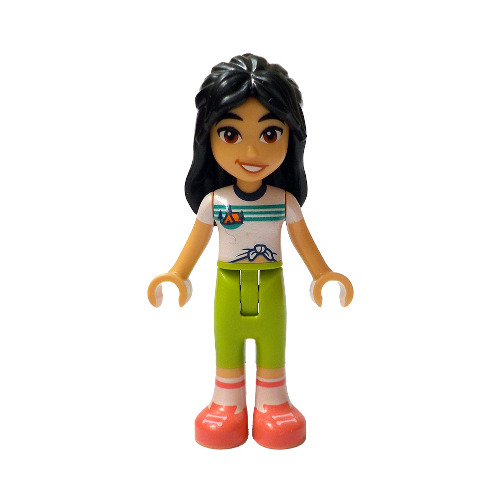 Minifigurines Friends Frnd0754 - 