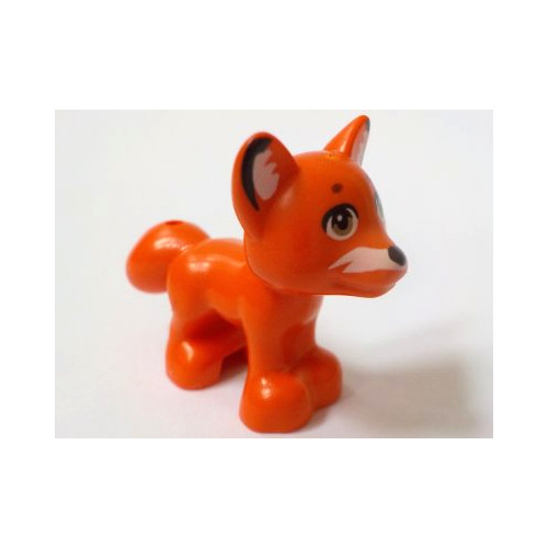 Renard - 