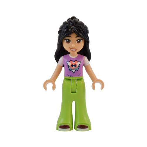 Minifigurines Friends Frnd0728 - 