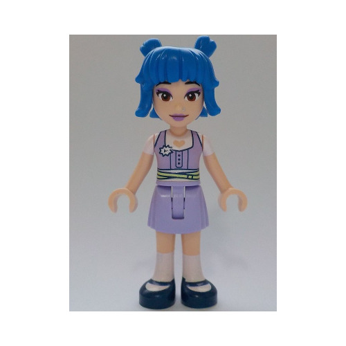 Minifigurines Friends Frnd0672 - 