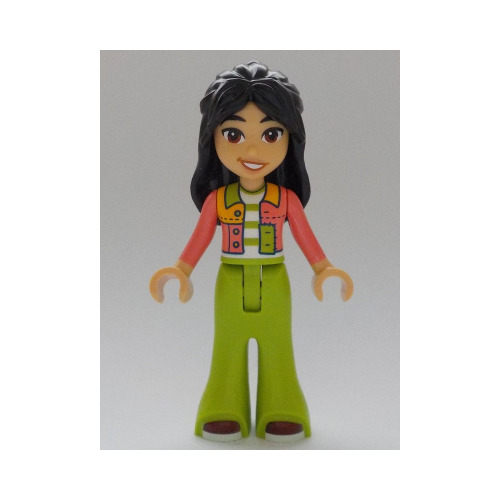 Minifigurines Friends Frnd0669 - 