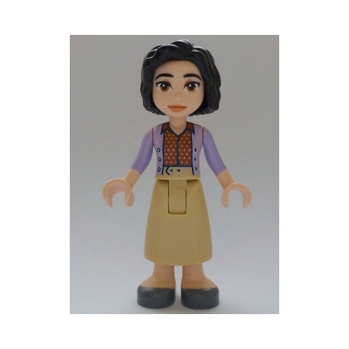 Minifigurines Friends Frnd0673 - 