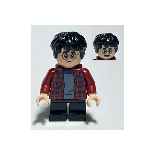 Minifigurines Harry Potter HP233 - Lego LEGO Harry Potter