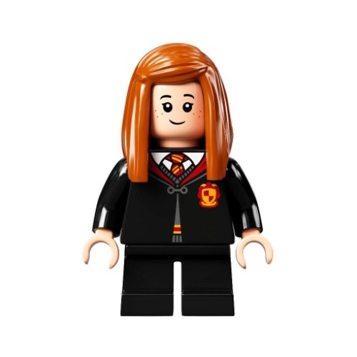 Minifigurines Harry Potter HP305 - Lego LEGO Harry Potter