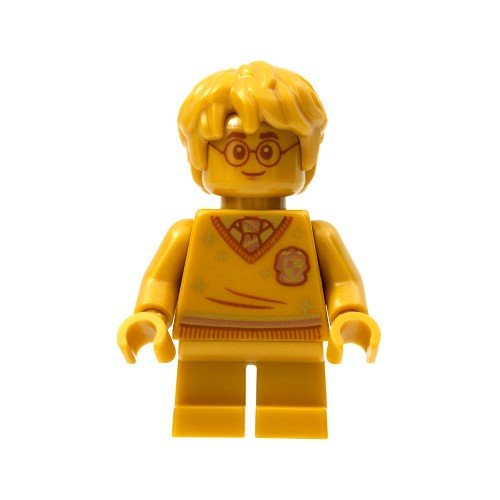 Minifigurines Harry Potter HP284 - Lego LEGO Harry Potter