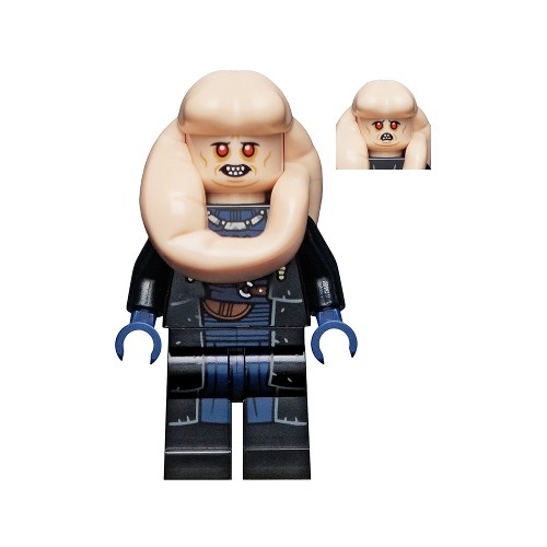 Minifigurines Star Wars SW1193 - LEGO Star Wars