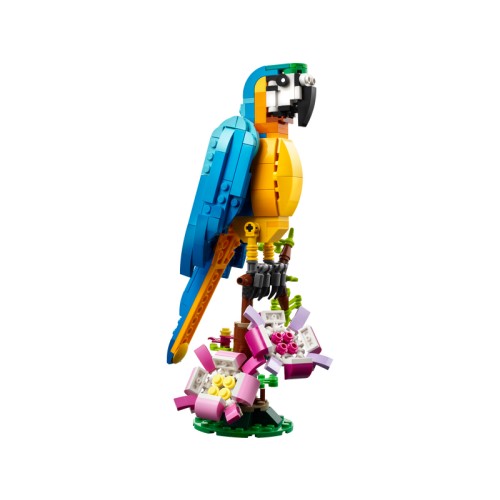Le perroquet exotique - LEGO Creator 3-en-1