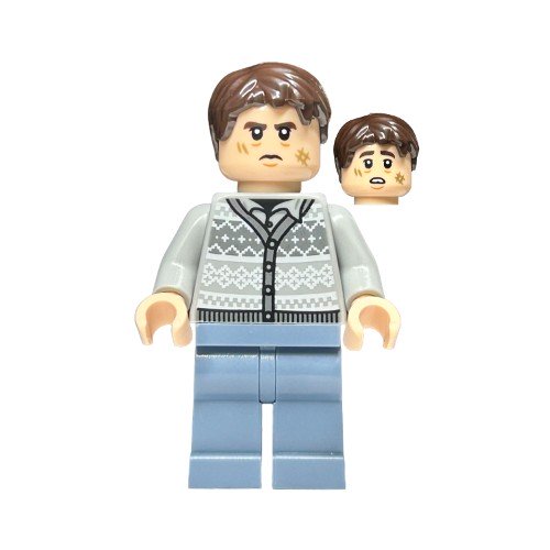 Minifigurines Harry Potter HP425 - Lego LEGO Harry Potter