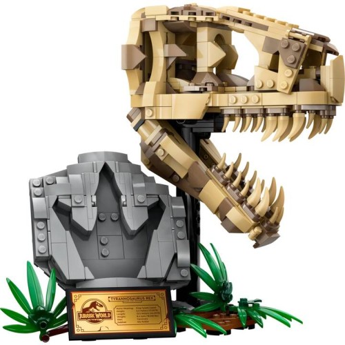 Les fossiles de dinosaures : le crâne du T. rex - LEGO Jurassic World