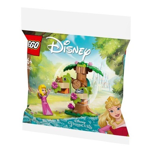 Polybag Disney -L'aire de jeu dans la forêt - Lego 