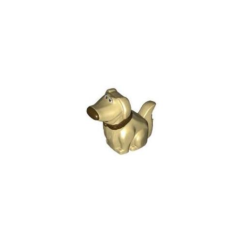 Chien Golden Retriever - 