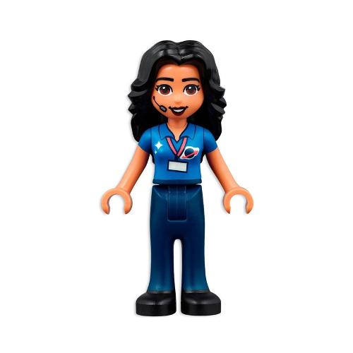 Minifigurines Friends Frnd520 - 