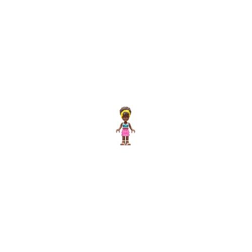 Minifigurines Friends Frnd555 -