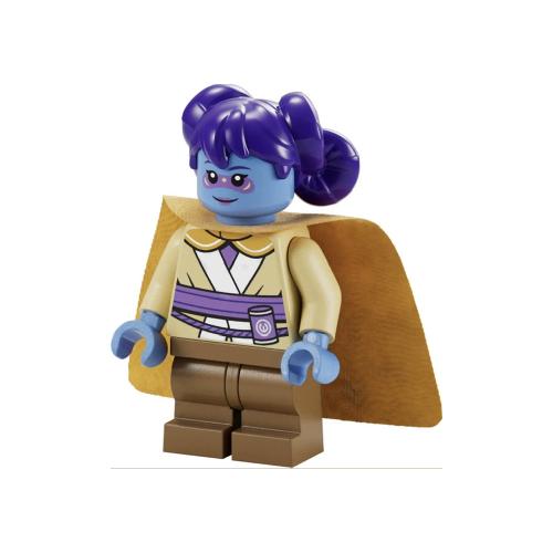 Minifigurines Star Wars SW1269 -