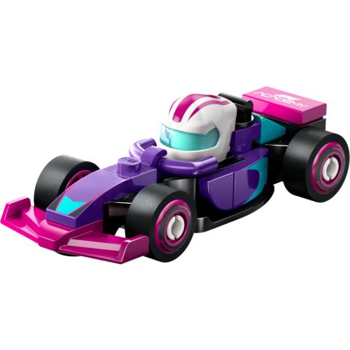 Minifigurines Série F1 71049 - 11 - 