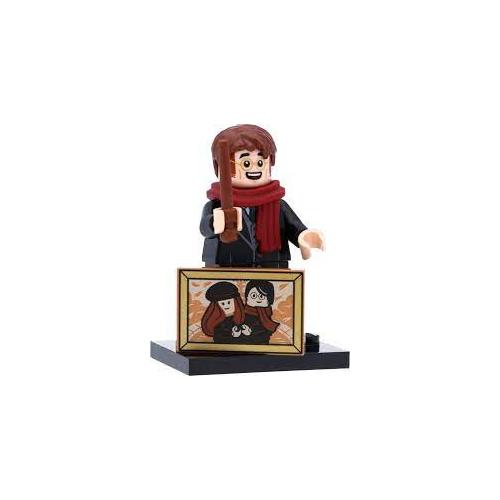 Minifigures Harry Potter Série 2 71028- 8 - 