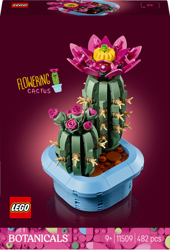 Cactus fleuri - Brick Occasion