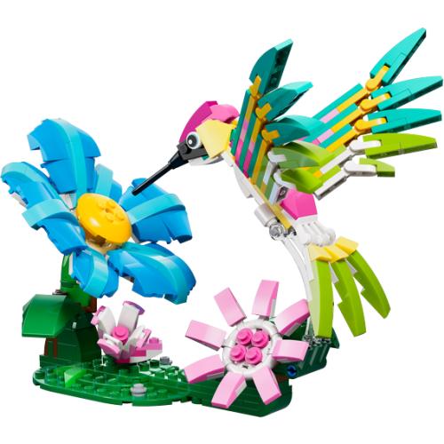 Animaux sauvages : le colibri coloré - LEGO Creator 3-en-1